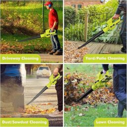 Image du fabricant 5 du Souffleur de Feuilles sans Fil Vert
