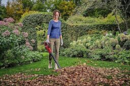 Image du fabricant 5 du Souffleur Einhell GE-UB 18-250 Li