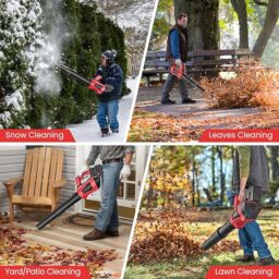 Image du fabricant 6 du Souffleur Batterie 21V compact