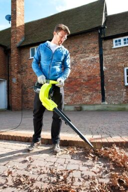 Image du fabricant 7 du RYOBI Aspirateur Souffleur Broyeur RBV3000CESV