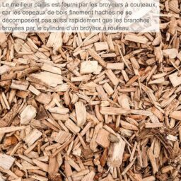 Image du fabricant 7 du Scheppach Broyeur Jardin électrique GS55