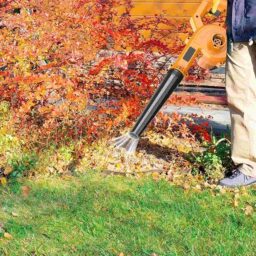 Image du fabricant 7 du Souffleur de Feuilles 21V Portable