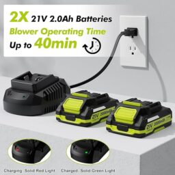 Image du fabricant 7 du Souffleur de Feuilles sans Fil Vert