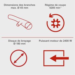 Image du fabricant 8 du Scheppach Broyeur Jardin électrique GS55