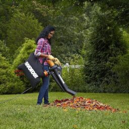 Image du fabricant 9 du WORX Souffleur Aspirateur Broyeur