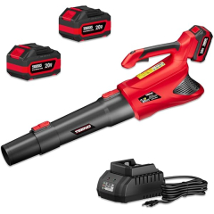 Souffleur de Feuilles Teeno de sans fil 20V