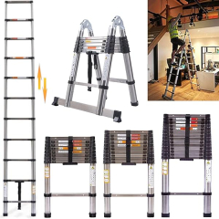 Échelle Royalswill Télescopique 2,6 M