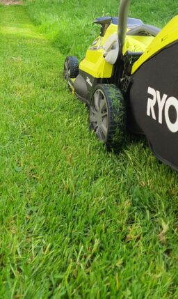 image client 1 Tondeuse Électrique Ryobi RLM15E36H