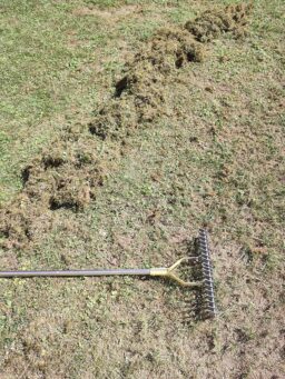 image client 1 Râteau à Gazon Baraystus à Paille Longue Poignée Réglable