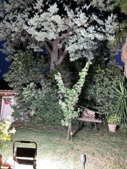 image client 1 Projecteur Chantier Bellanny de Led 200w