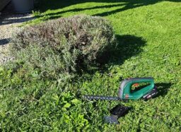 image client 1 Cisaille À Gazon Bosch AdvancedShear 18V 10