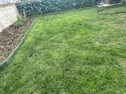 image client 1 Débroussailleuse Électrique Bosch EasyGrassCut 23