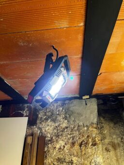 image client 1 Projecteur Led Chantier Bosch Professional Gli 18V 1900