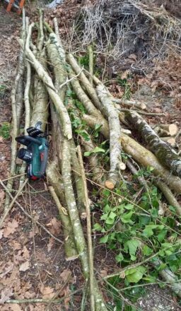 image client 1 Tronçonneuse À Chaîne sans fil Bosch UniversalChain 18