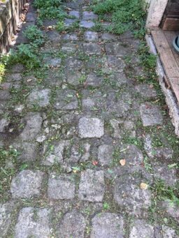 image client 1 Débroussailleuse Électrique Xbzzgmg sans fil 21V