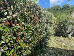 image client 1 Échafaudage Roulant Oxeo 4765 Pliable Roulettes