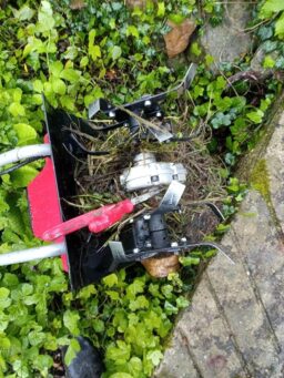 image client 1 Motobineuse Électrique Einhell GC RT 7530