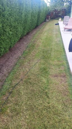 image client 1 Scarificateur Électrique Einhell GE sa 1640