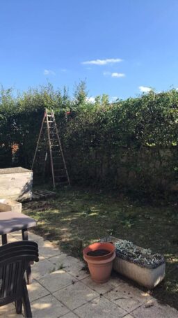 image client 1 Taille Haies Télescopique Einhell GC HH 5056