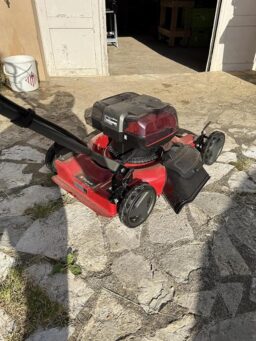 image client 1 Tondeuse À Gazon sans fil Einhell Ge Cm 36-48 Li M Solo Power X Change