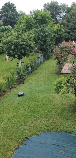 image client 1 Tondeuse Robot Gardena SILENO City 500