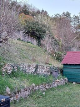 image client 1 Débroussailleuse Greenworks GD40BCK2X