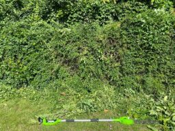 image client 1 Taille Haie Perche Greenworks G24PH51K2