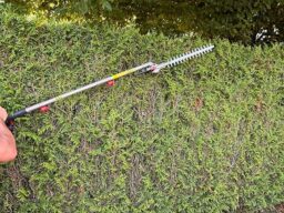 image client 1 Élagueuse sur Perche Hychika Better Tools Taille Haie Télescopique Électrique 900W