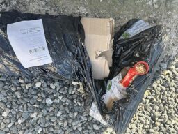 image client 1 Scarificateur Manuel Kadax Aérateur de Gazon Double Face avec Manche