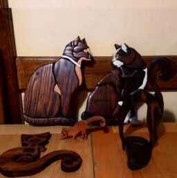 image client 1 Scie À Chantourner Leman Sac407