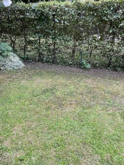 image client 1 Outil de Jardinage Électrique Litheli 2 en 1 Élagueur sur Perche & Taille Haie sans fil