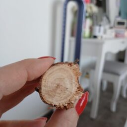 image client 1 Tronçonneuse Électrique sans fil Ginarelo Mini À Batterie 6 Pouces