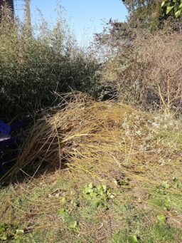 image client 1 Tronçonneuse Électrique sans fil Viwko Mini À Batterie 6 Pouces