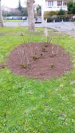 image client 1 Motobineuse sans fil Einhell GE CR 18-20 Li E Solo