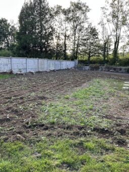 image client 1 Motobineuse Électrique Einhell GC RT 1545 M