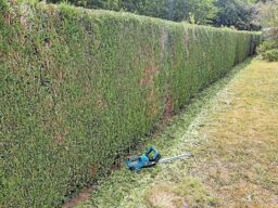 image client 1 Taille Haie sans fil RINOXAR TrimCut Pro