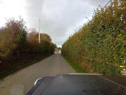 image client 1 Taille Haie Télescopique Alloyman Y 01