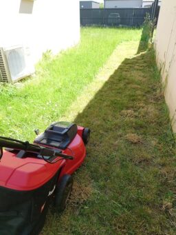 image client 1 Tondeuse Électrique Einhell GC EM 1732