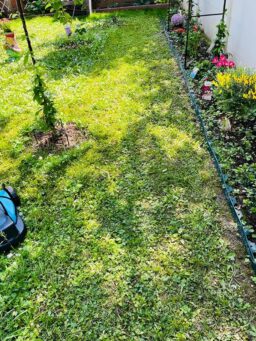 image client 1 Tondeuse À Gazon sans fil Gardena Handymower 22-18 V P4A