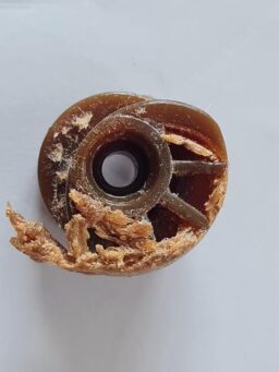 image client 1 Cisaille Électrique Worx WG801E.3