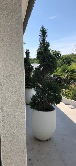 image client 10 Cisaille Taille Herbes sans fil Bosch Isio Set