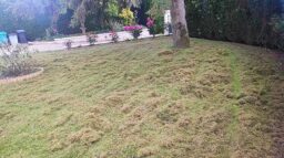 image client 10 Scarificateur Électrique Einhell GE sa 1640