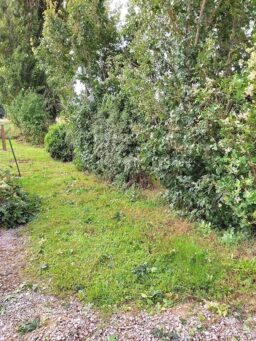 image client 10 Taille Haie Batterie Greenworks G24HT56K2