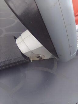 image client 10 Taille Haie Électrique Ikra IHS 650