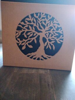 image client 10 Scie sur Table Ryobi Rts1800ef G