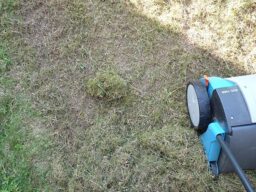 image client 10 Scarificateur Électrique Gardena EVC 1000