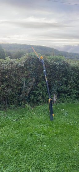 image client 10 Taille Haies sur Perche DeWalt DCMPH566N XJ