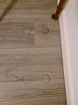 image client 2 Compresseur Silencieux Einhell TE AC 24 Silent