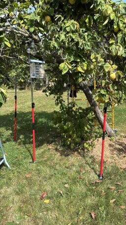 image client 2 Étai Télescopique de Soutien 3 H Set de 4 Réglable