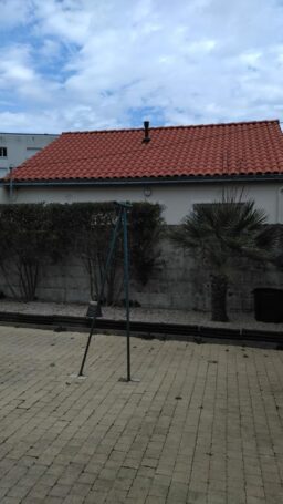 image client 2 Cisaille Taille Herbes sans fil Bosch Isio Set